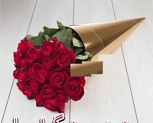 عکس روز بهورز مبارک