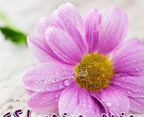 عکس روز بهورز مبارک
