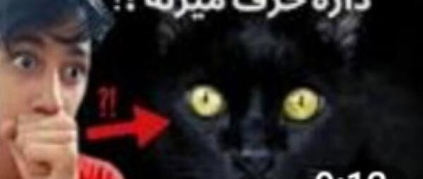 عکس گربه ی وحشتناک