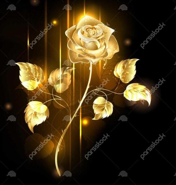 عکس سیاه طلای