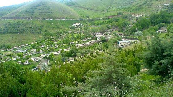 عکس دوچرخه ی ژیتان