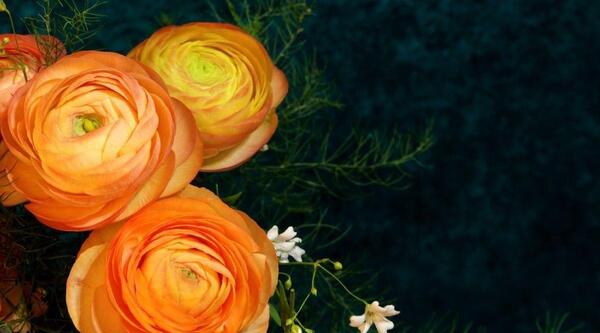 عکس دسته گل وحشی