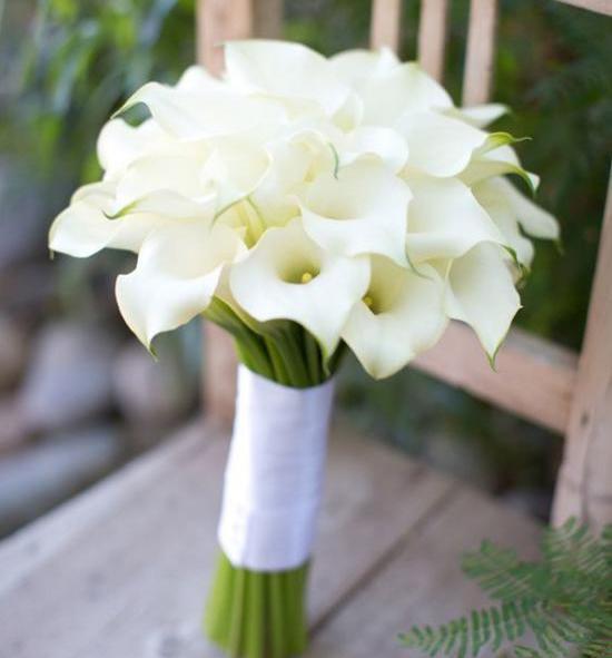 عکس دسته گل وحشی