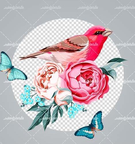 عکس دسته گل وحشی