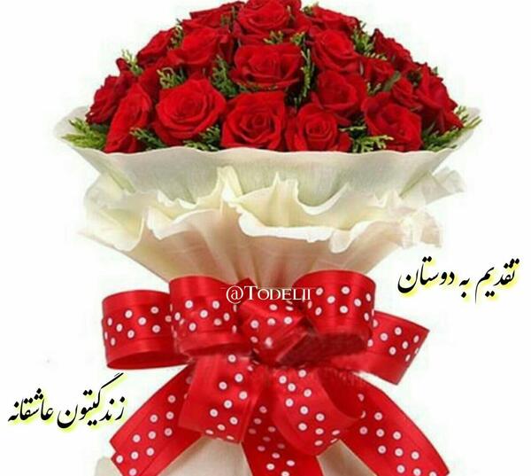 عکس و تصویر گلهای زیبا