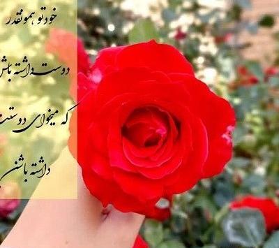 عکس پروفایل جدید گل ها