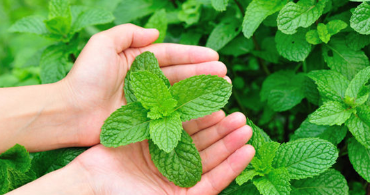 عکس زیبا برای پروفایل پاییز