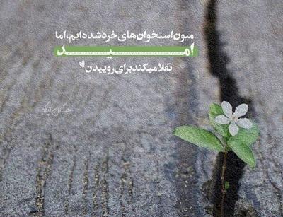 عکس غمگین تیکه دار برای پروفایل