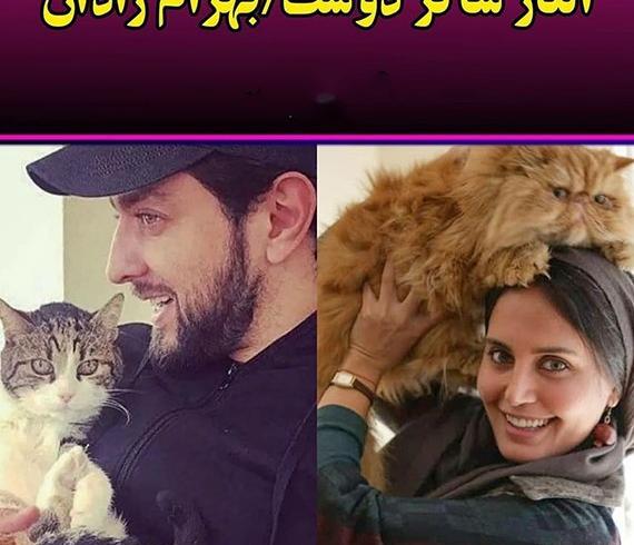 عکس گربه رویا نونهالی