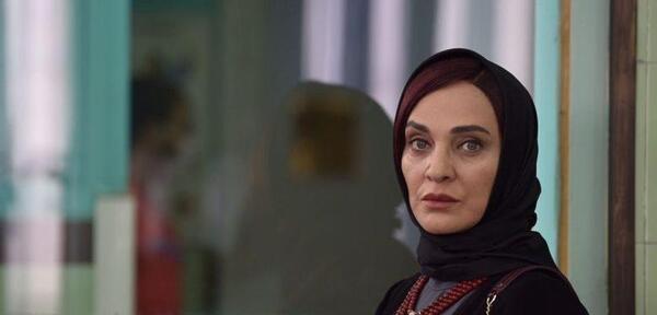 عکس گربه رویا نونهالی