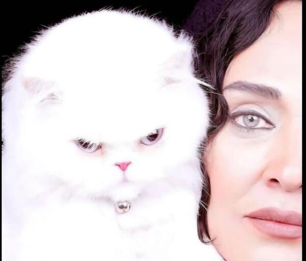 عکس گربه رویا نونهالی