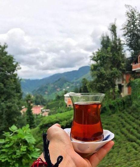 عکس لاکچری چای