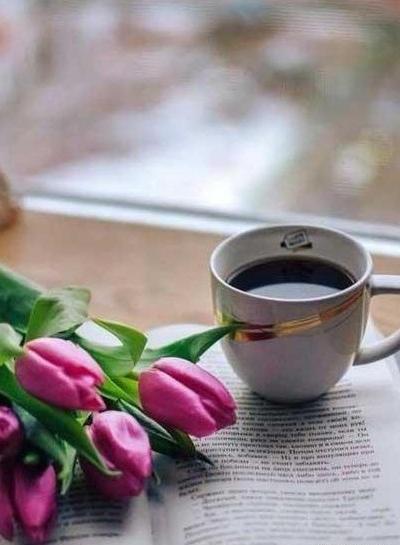 عکس لاکچری چای