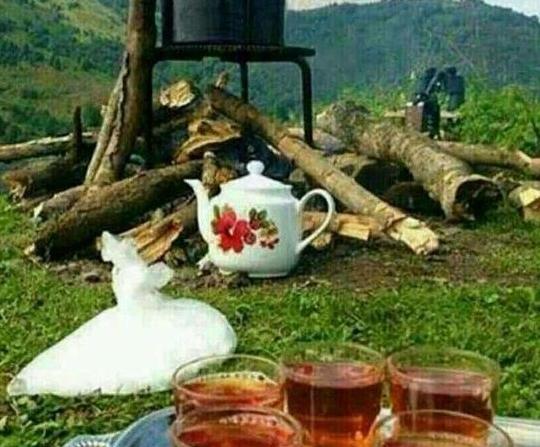 عکس لاکچری چای
