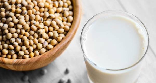 عکس تصویر شیر سویا