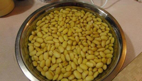 عکس تصویر شیر سویا