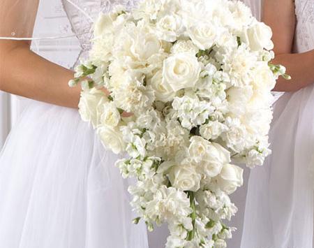 عکس دسته گل های طبیعی