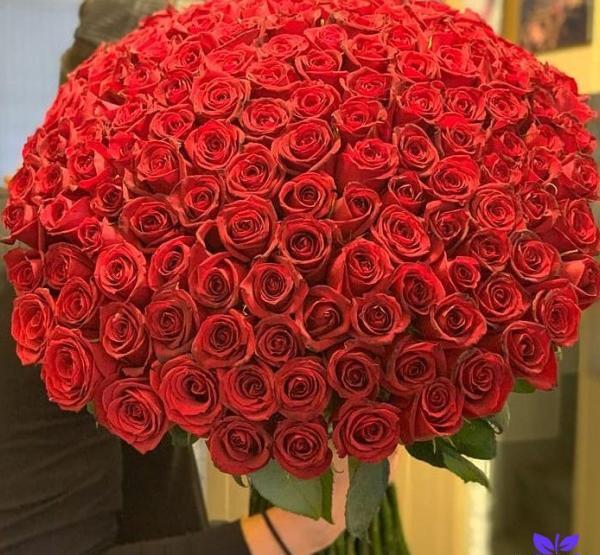 عکس دسته گل های طبیعی