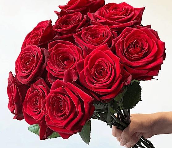 عکس دسته گل های طبیعی