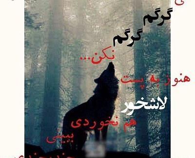 عکس نوشته های جدید گرگ