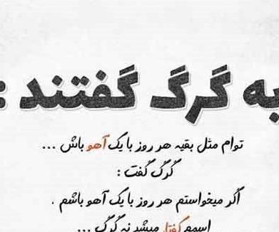 عکس نوشته های جدید گرگ