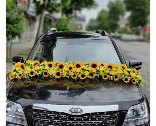عکس گل ماشین عروس شاسی بلند