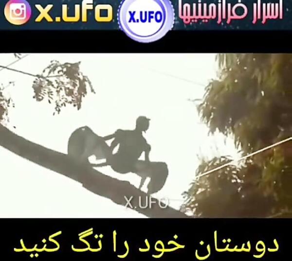 عکس پری دریایی زنده و واقعی