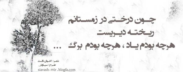 عکس غمگین قاصدک