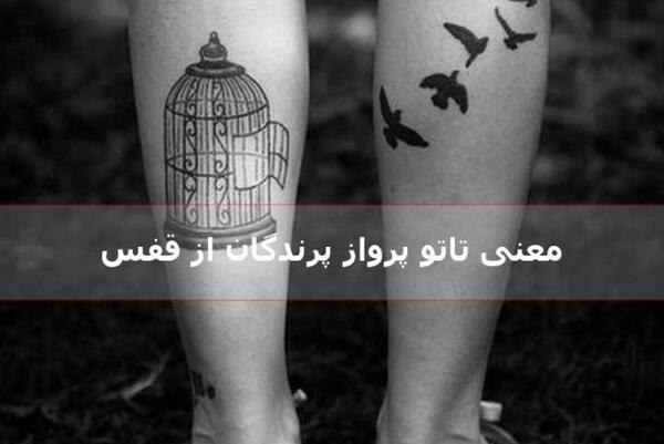 عکس های طرح تاتو روی دست