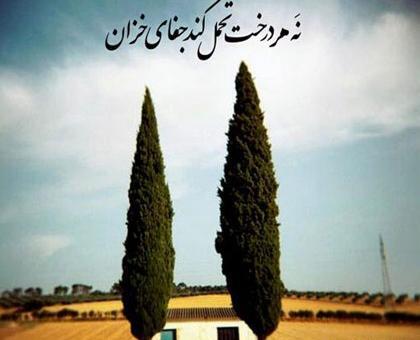 عکس نوشته در مورد صبر خدا