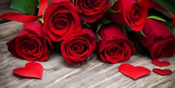 عکس های عاشقانه های زیبا