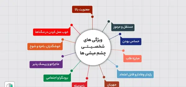 عکس چشم های میشی رنگ