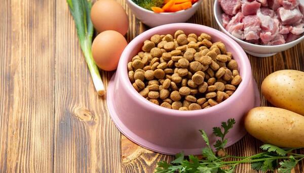 عکس غذای سگ سرابی