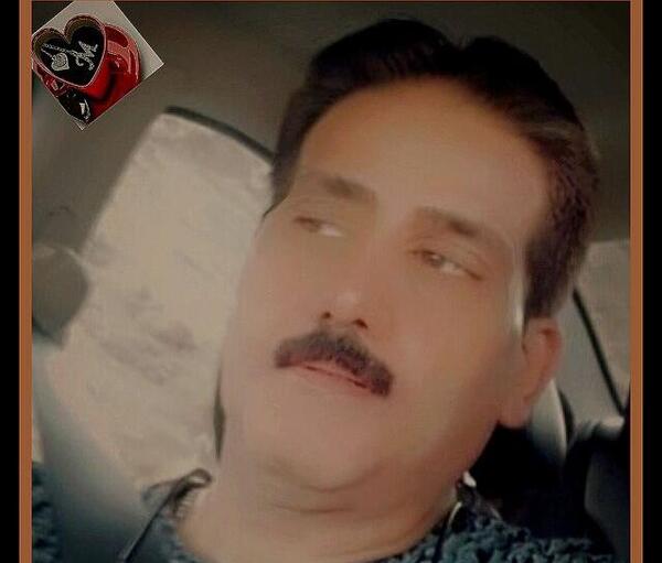 عکس گرگ روزگار