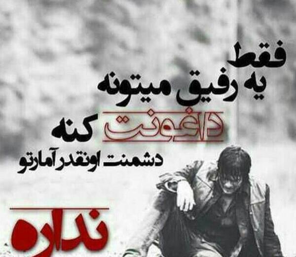 عکس گرگ روزگار