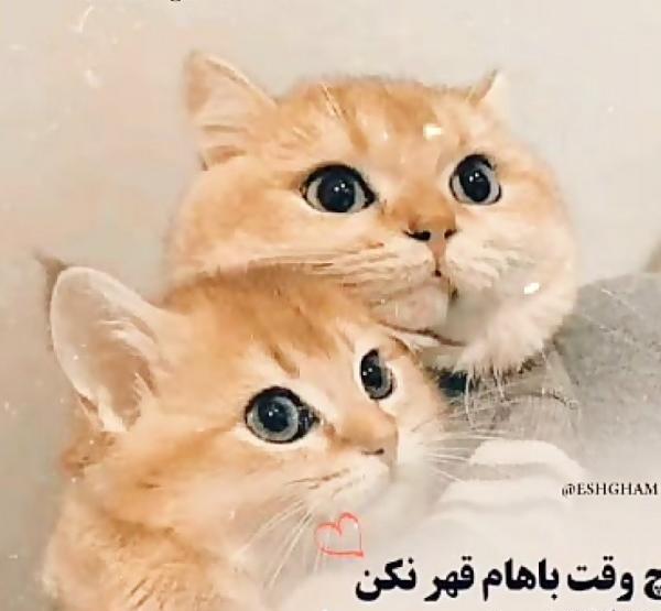 عکس نوشته آرامش من تویی