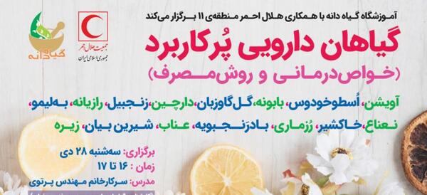 عکس گل شیرین بیان