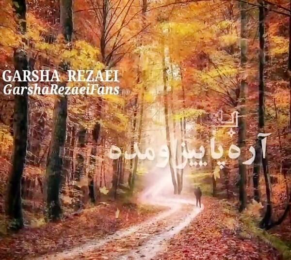 عکس کلیپ استوری پاییز حجت اشرف زاده