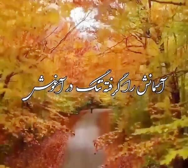 عکس کلیپ استوری پاییز حجت اشرف زاده