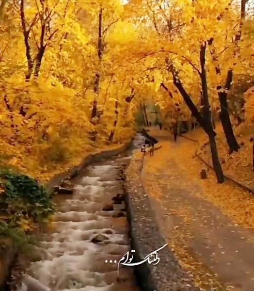 عکس کلیپ استوری پاییز حجت اشرف زاده
