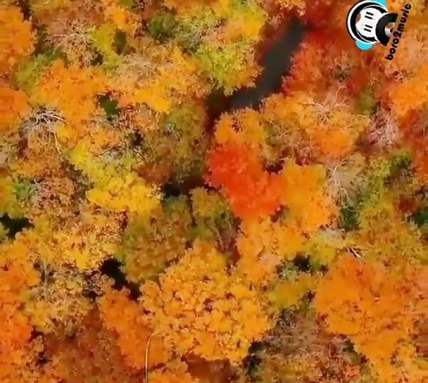 عکس کلیپ استوری پاییز حجت اشرف زاده