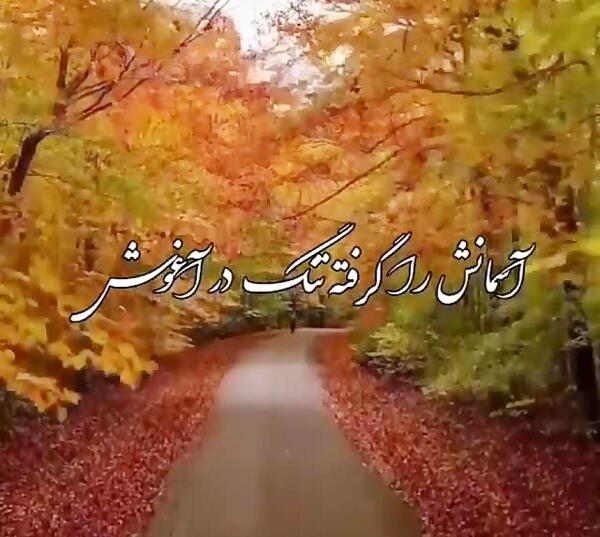 عکس کلیپ استوری پاییز حجت اشرف زاده