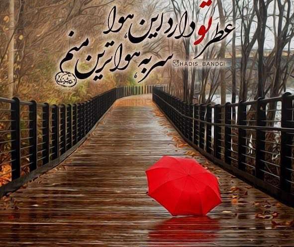 عکس پاییز چین