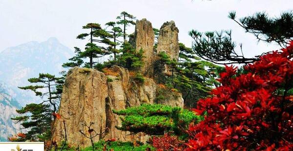 عکس پاییز چین