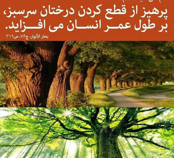 عکس پاییز چین