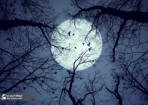 عکس ماه در آسمان شب