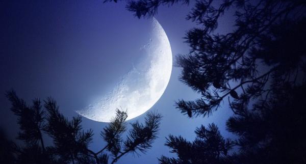 عکس ماه در آسمان شب