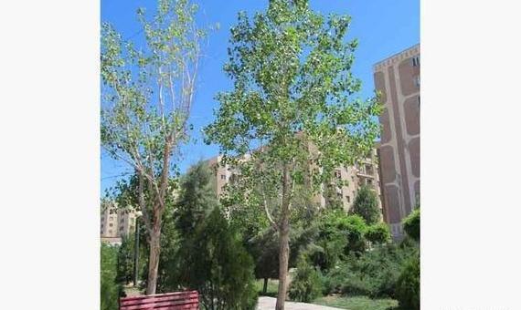 عکسهای پروفایل واتساپ زیبا