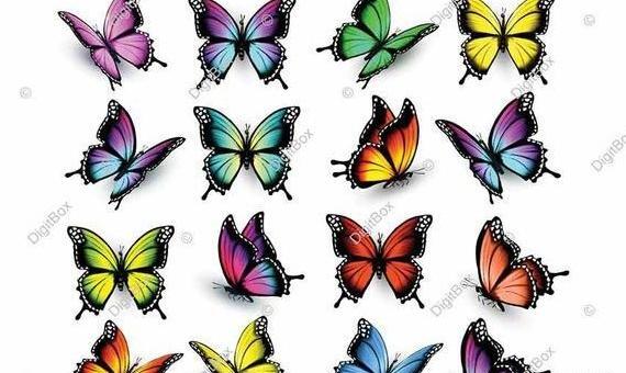 عکس پروانه فانتزی صورتی