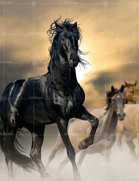 عکس با مقنعه خنده دار